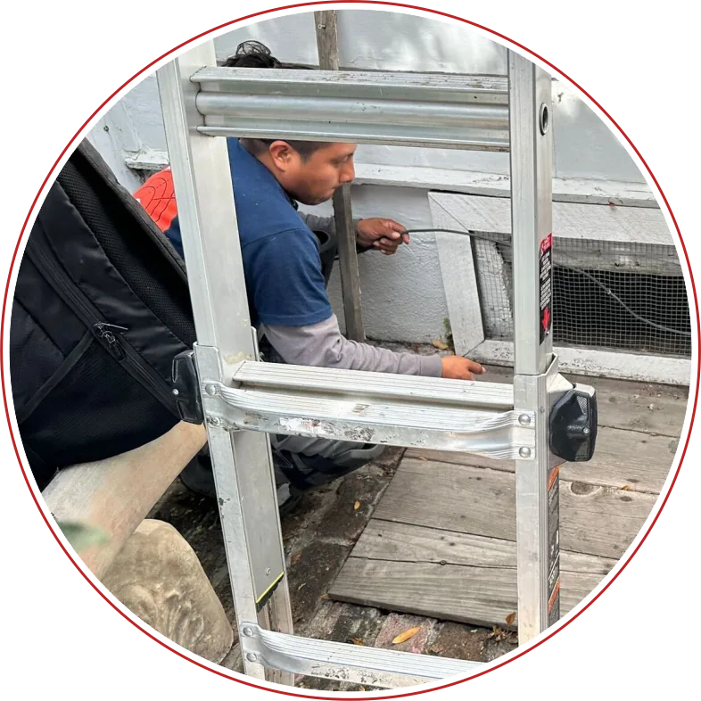 Rodent Exclusion In Los Angeles | Exclusion Rodent Control - Rodent Expertz Los Angeles