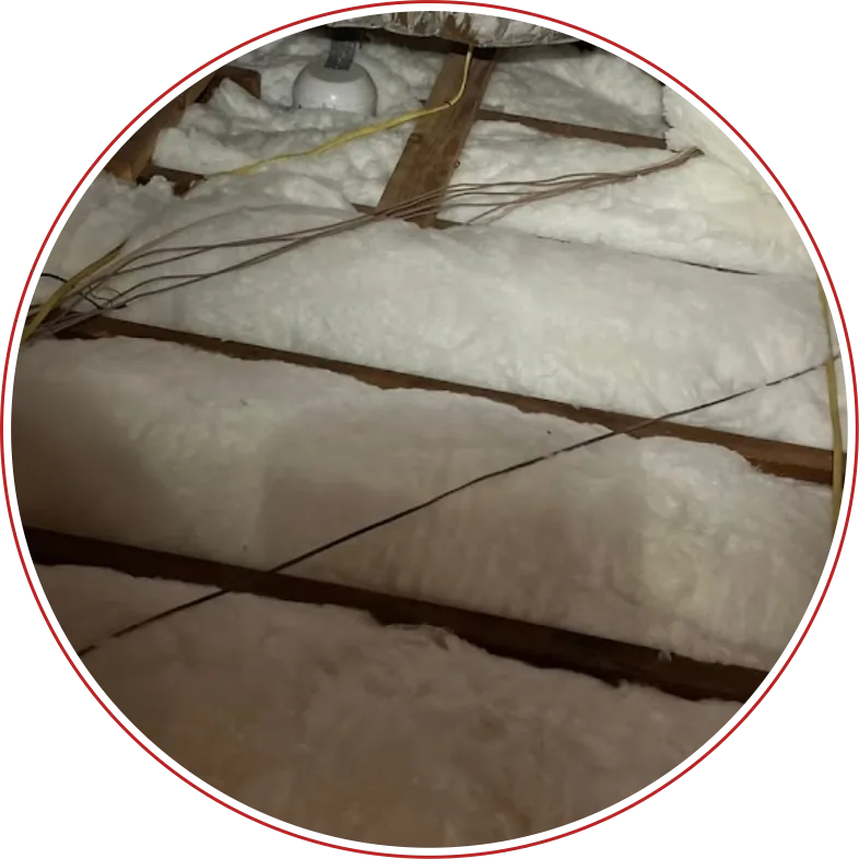 Attic Insulation and Replacement Los Angeles | Attic Insulation Removal in Los Angeles - Rodent Expertz Los Angeles