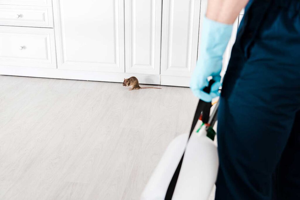 Technician in protective gloves during rodent control work