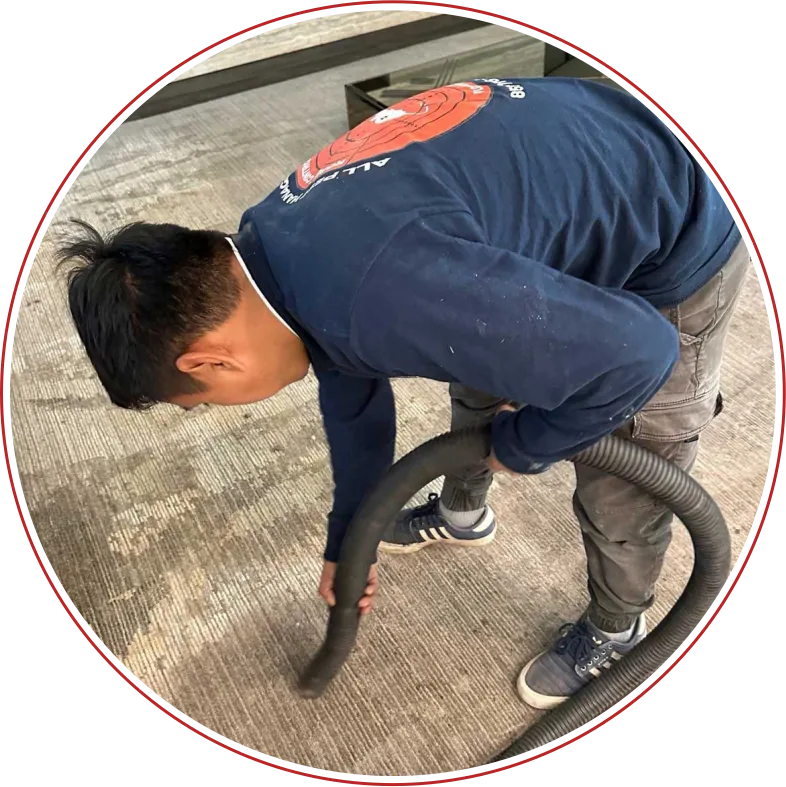 Rodent Expertz Servicing Culver City CA - Rodent Expertz Los Angeles