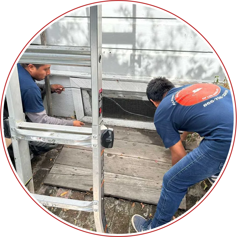 Rodent Expertz Servicing Long Beach CA - Rodent Expertz Los Angeles