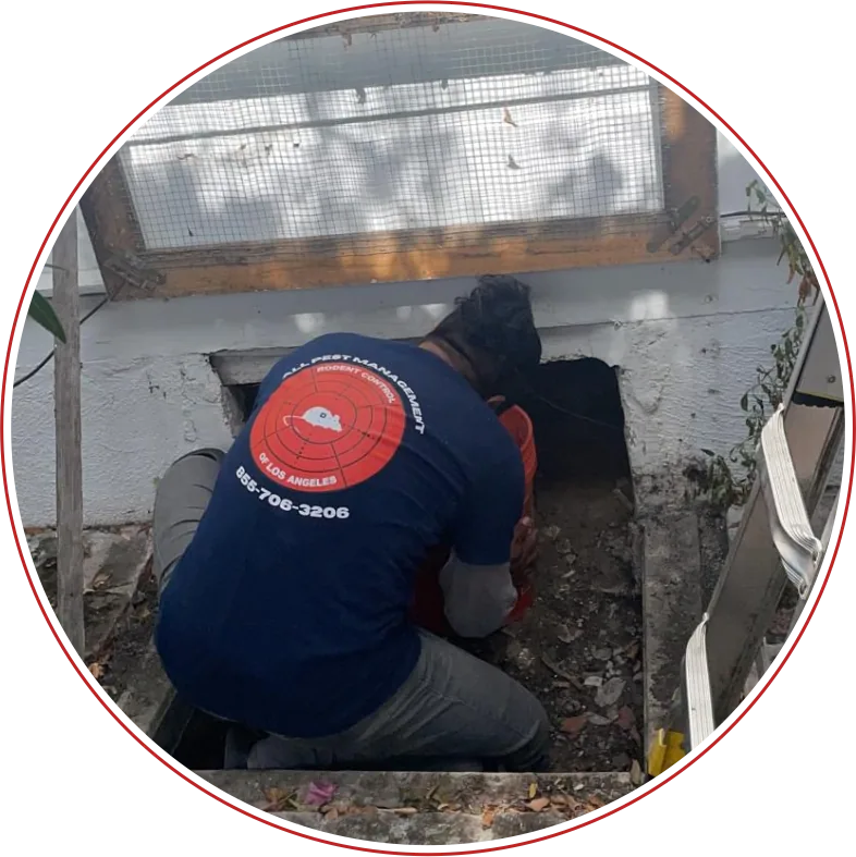 Rodent Expertz Servicing Burbank CA | Burbank Rodent Control - Rodent Expertz Los Angeles