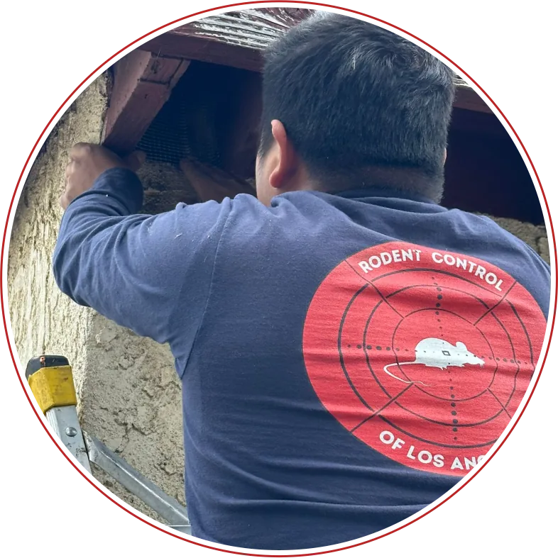 Rodent Expertz Servicing Torrance CA - Rodent Expertz Los Angeles